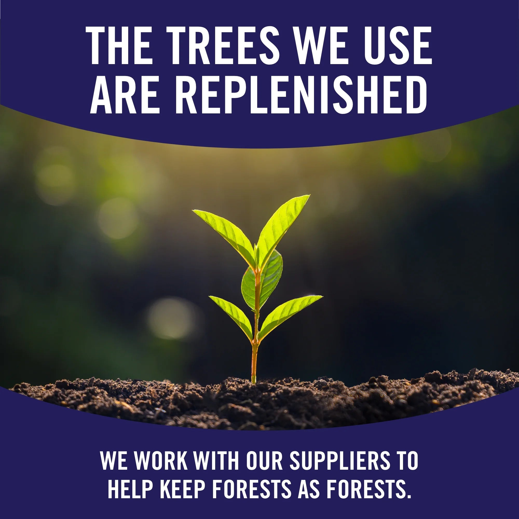 Sparkle Tear-A-Square Paper Towels, 6 Triple Rolls