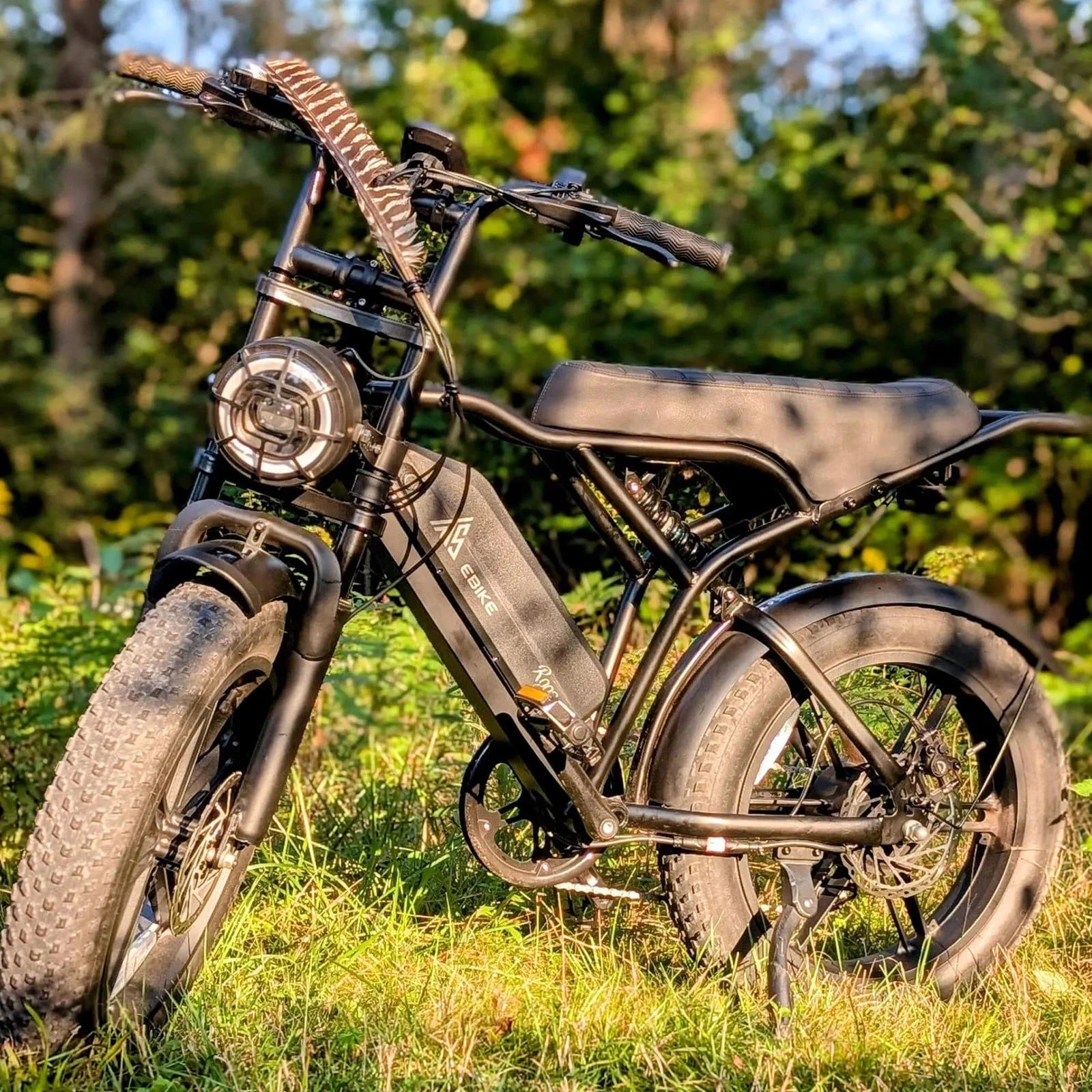 Adult Electric Mountain Bike, 750W Peak (1500W) Motor, 20"x4" Fat Tires, Hydraulic Disc Brakes, 48V/15AH UL2849, App Control