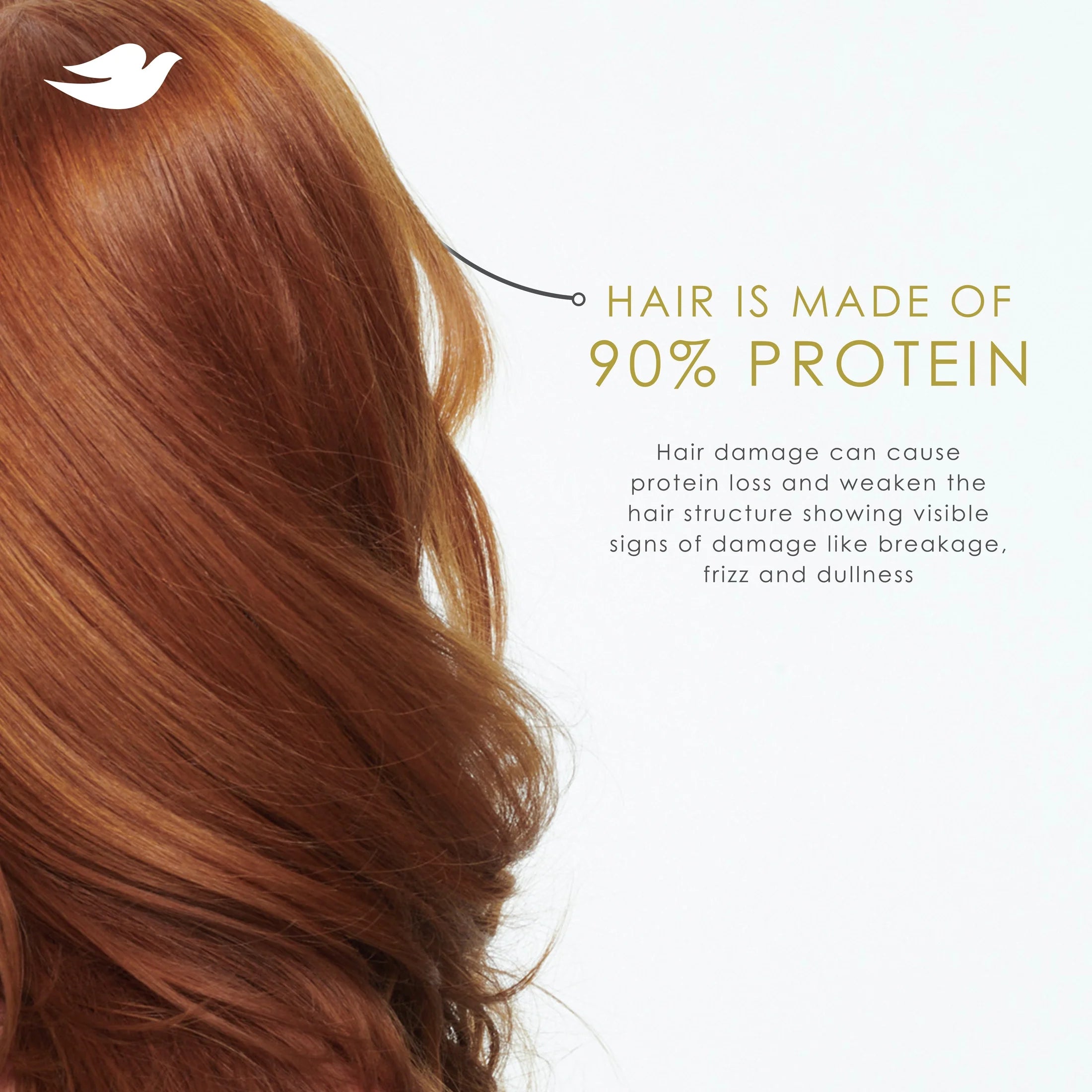 Women's Intensive Repair Shampoo with Bio-Protein Care Technology and Amino Serum, 28 Oz