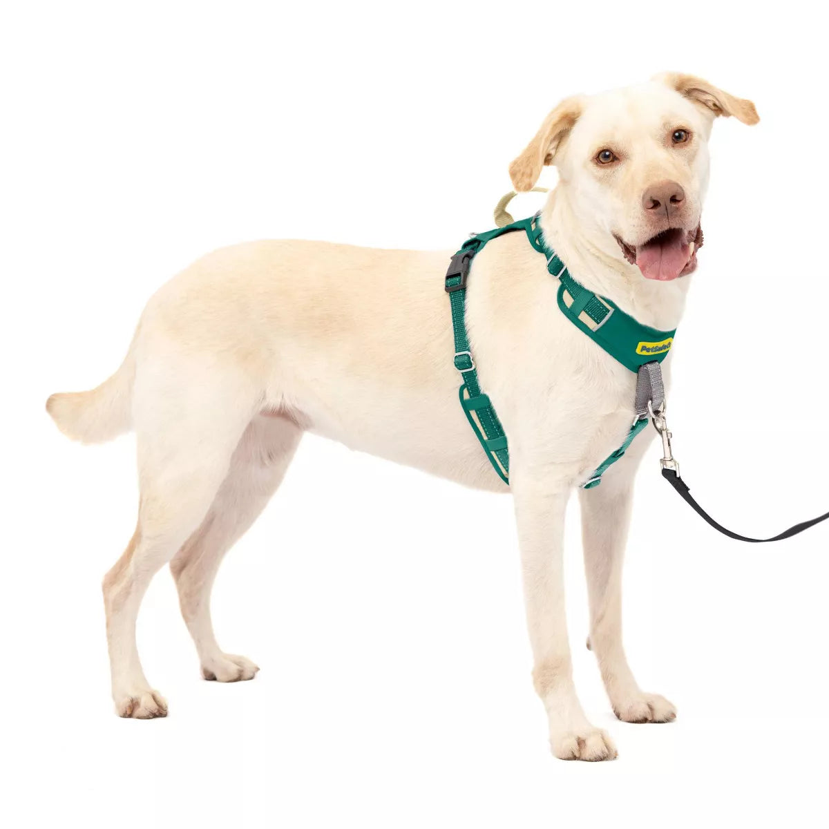 Petsafe Comfort No Pull Adjustable Dog Harness - Green
