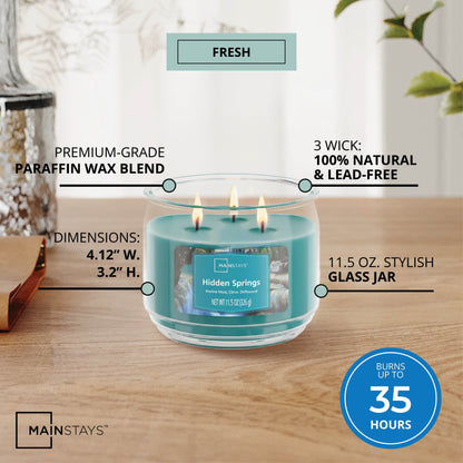 11.5 oz. 3-Wick Scented Glass Jar Candle in Hidden Springs