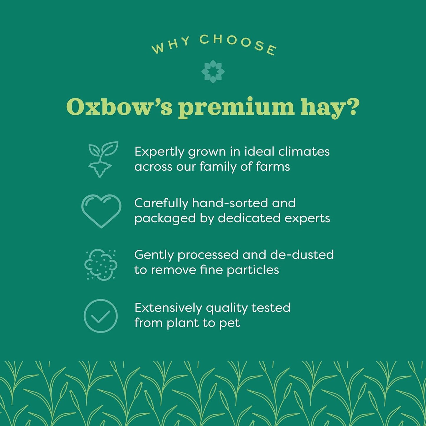Oxbow Western Timothy Hay for Small Pets - All-Natural Grass for Guinea Pigs, Bunnies, Chinchillas, and Hamsters, 90 Oz. Bag
