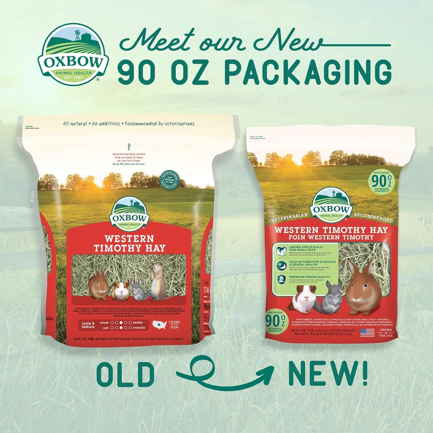 Oxbow Western Timothy Hay for Small Pets - All-Natural Grass for Guinea Pigs, Bunnies, Chinchillas, and Hamsters, 90 Oz. Bag