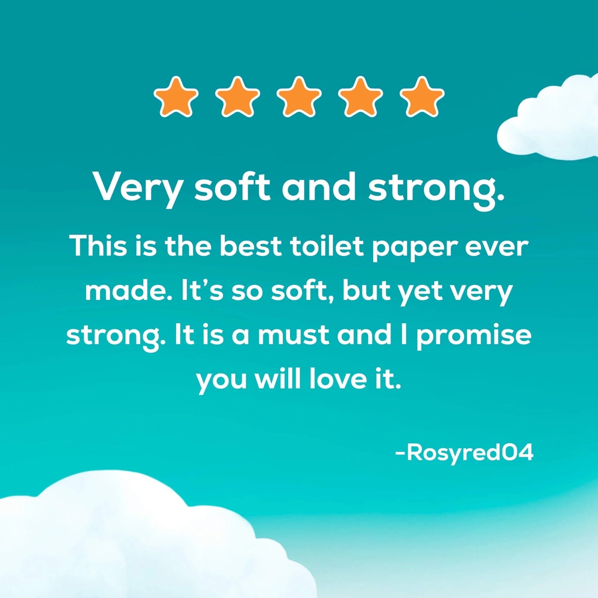 2-Ply Toilet Paper - 9 Mega Rolls