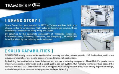 TEAMGROUP Elite DDR3L 8GB Single 1600Mhz PC3-12800 CL11 Unbuffered Non-Ecc 1.35V SODIMM 204-Pin Laptop Notebook PC Computer Memory Module Ram Upgrade - TED3L8G1600C11-S01