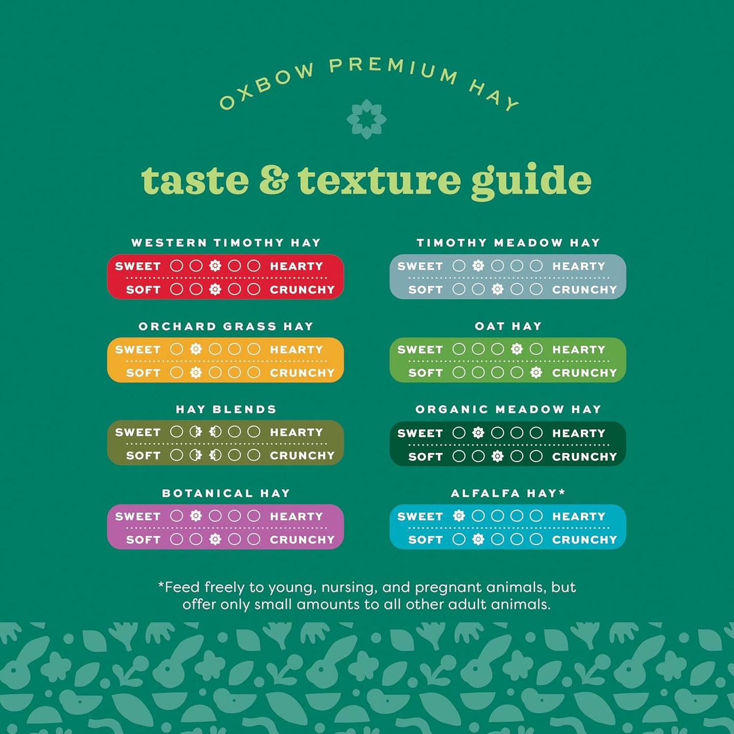 Oxbow Western Timothy Hay for Small Pets - All-Natural Grass for Guinea Pigs, Bunnies, Chinchillas, and Hamsters, 90 Oz. Bag