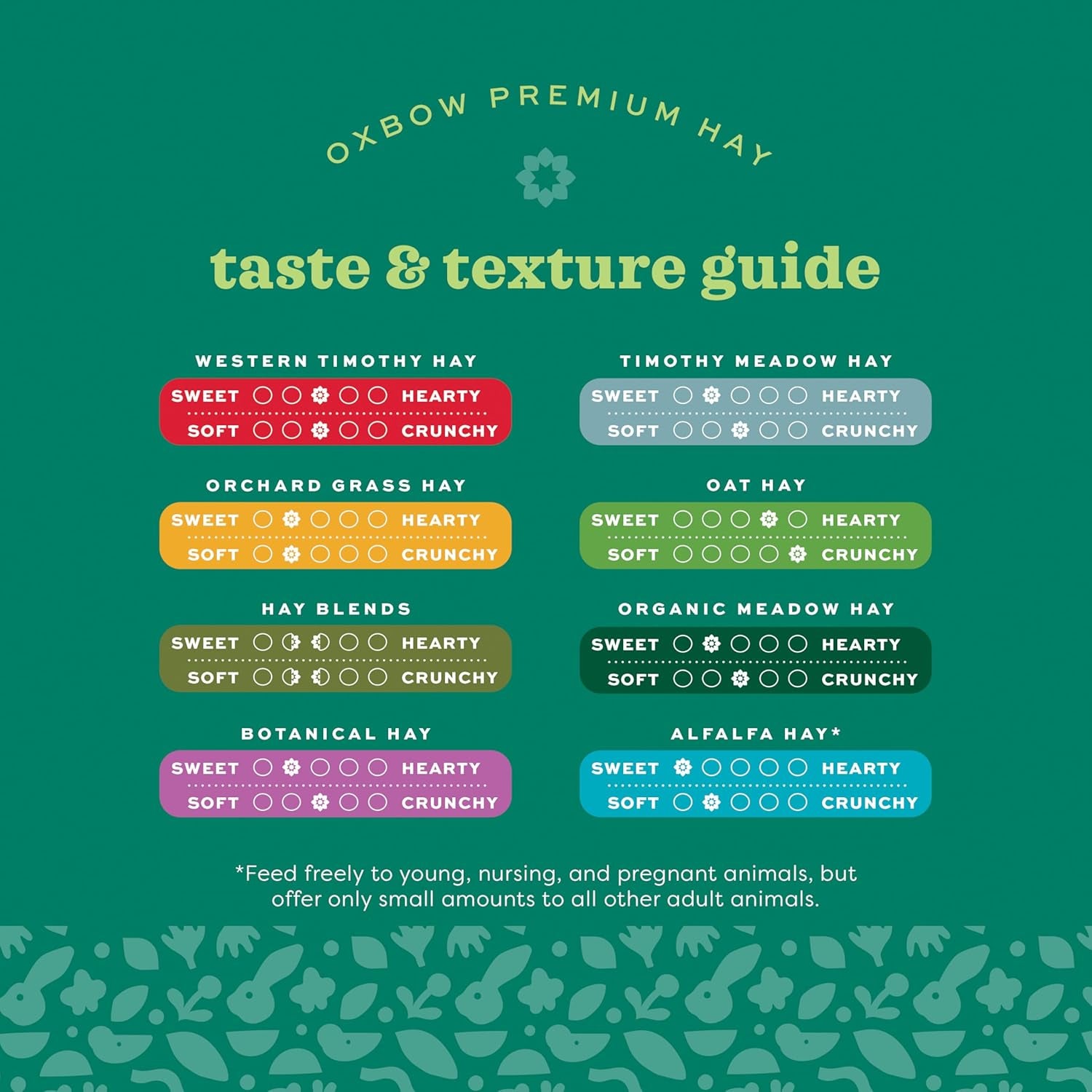 Oxbow Western Timothy Hay for Small Pets - All-Natural Grass for Guinea Pigs, Bunnies, Chinchillas, and Hamsters, 90 Oz. Bag