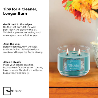 11.5 oz. 3-Wick Scented Glass Jar Candle in Hidden Springs
