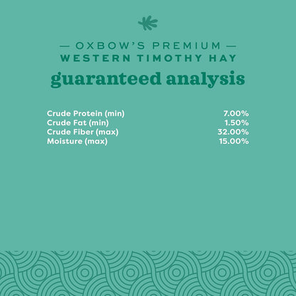 Oxbow Western Timothy Hay for Small Pets - All-Natural Grass for Guinea Pigs, Bunnies, Chinchillas, and Hamsters, 90 Oz. Bag