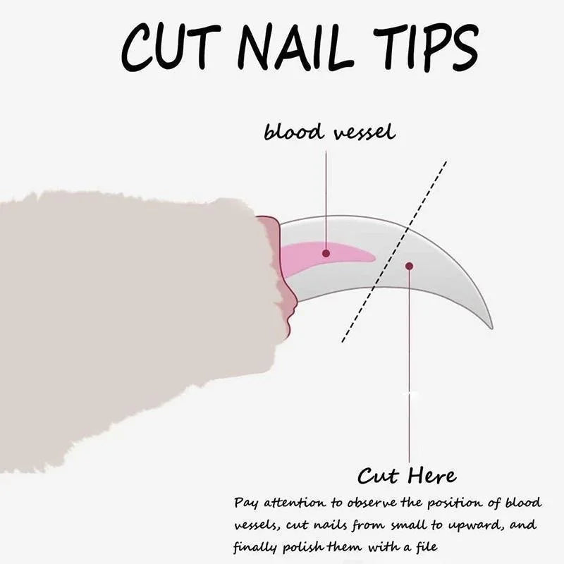 Professional Pet Nail Clippers for Dogs and Cats - Pet Grooming Supplies for Claw Care