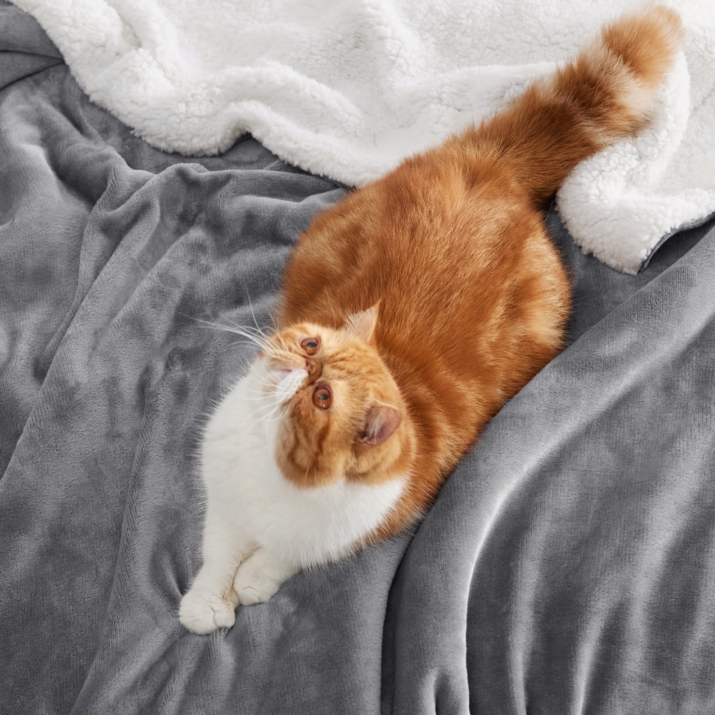 Grey Sherpa Fleece Throw Blanket - Soft and Cozy 50x60 Inch Warmth