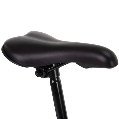 24" Rock Creek Mountain Bike for Adults, Suitable for Riders 4'8" - 5'8", Gray