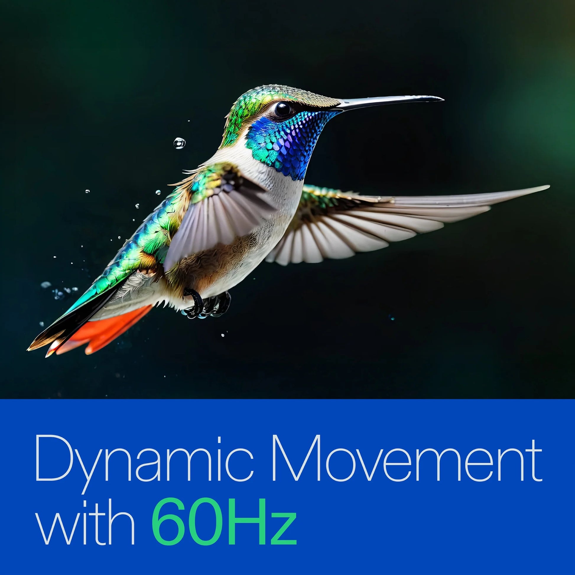 24” Class HD (720P) LED Roku Smart Television (100012590)