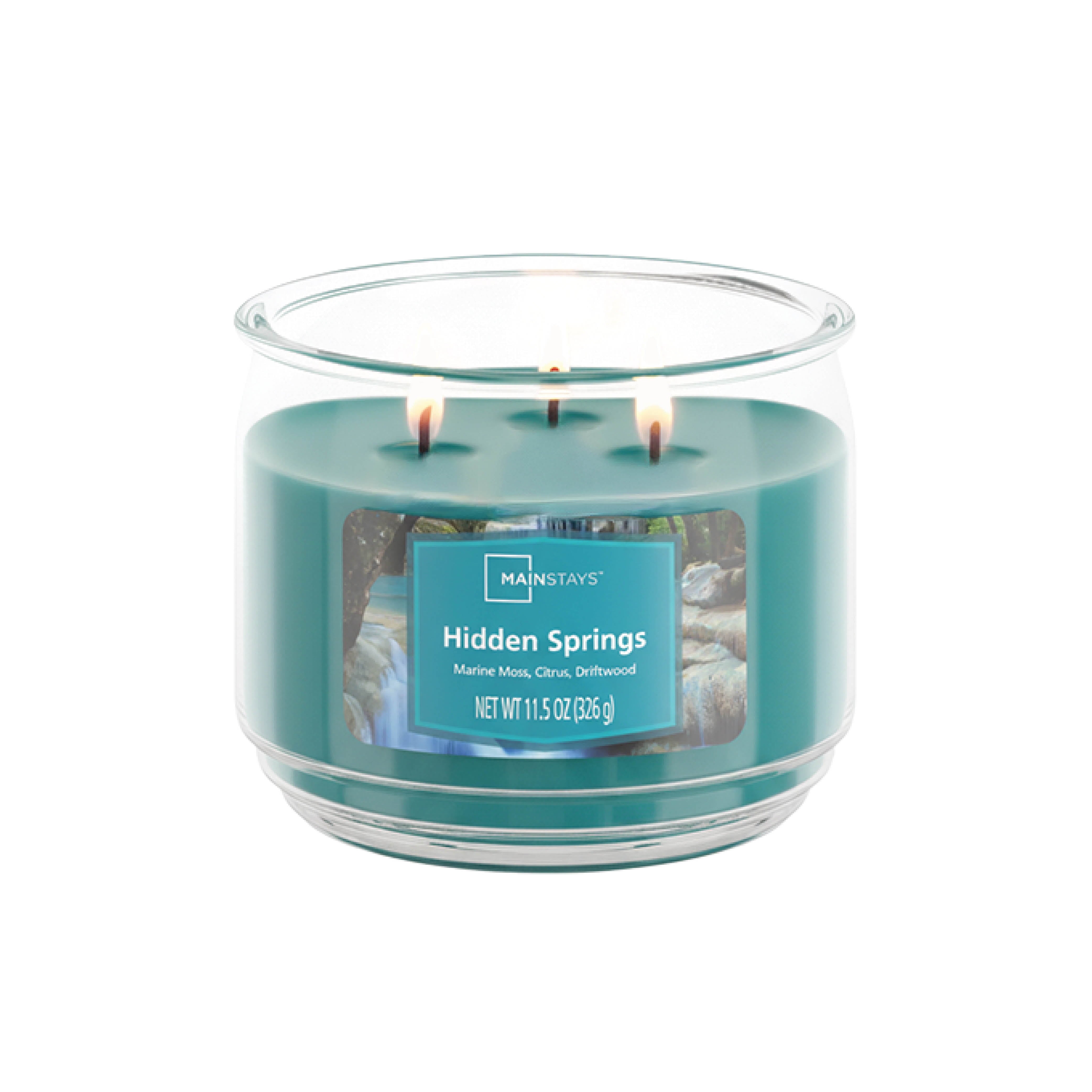 11.5 oz. 3-Wick Scented Glass Jar Candle in Hidden Springs
