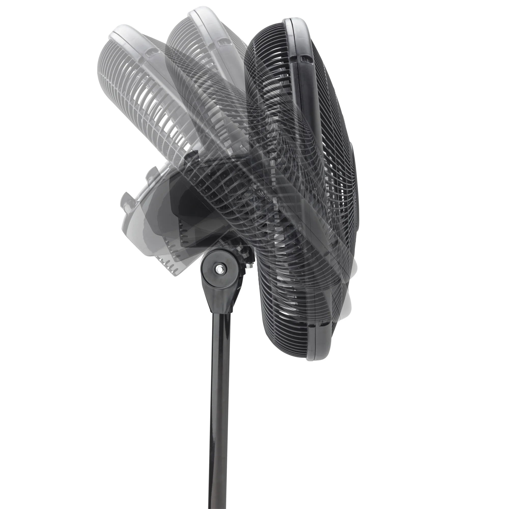 Lasko 16” 3-Speed Adjustable Oscillating Pedestal Fan, Black, S16500 New