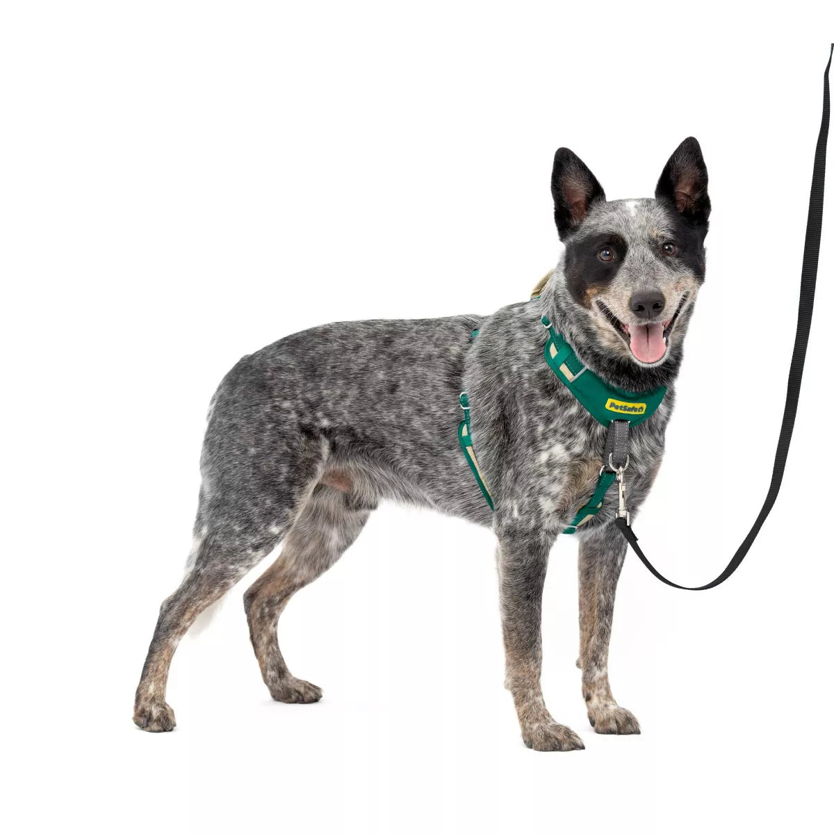 Petsafe Comfort No Pull Adjustable Dog Harness - Green