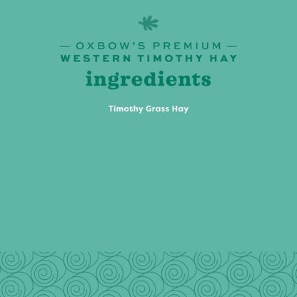 Oxbow Western Timothy Hay for Small Pets - All-Natural Grass for Guinea Pigs, Bunnies, Chinchillas, and Hamsters, 90 Oz. Bag