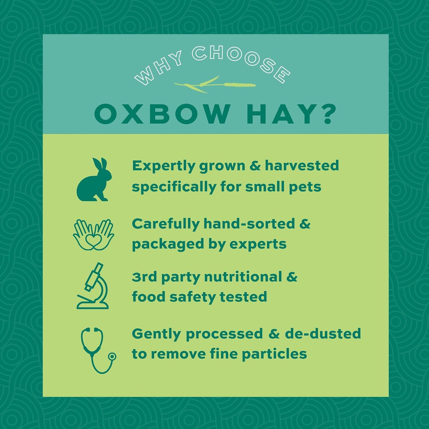 Oxbow Western Timothy Hay for Small Pets - All-Natural Grass for Guinea Pigs, Bunnies, Chinchillas, and Hamsters, 90 Oz. Bag